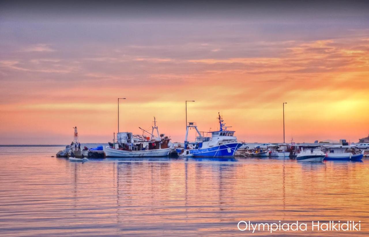 Mirini • Ancient Stagira Apts • Chalkidiki Olympiada Dış mekan fotoğraf