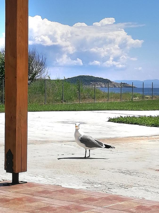 Mirini • Ancient Stagira Apts • Chalkidiki Olympiada Dış mekan fotoğraf