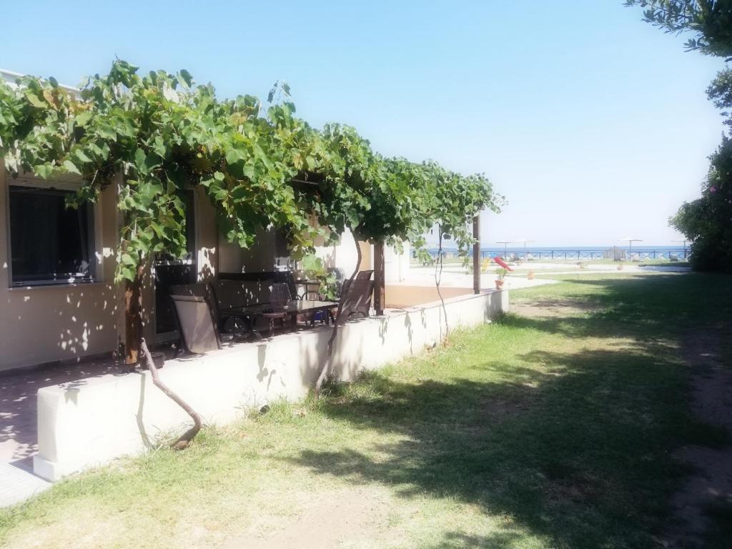 Mirini • Ancient Stagira Apts • Chalkidiki Olympiada Dış mekan fotoğraf